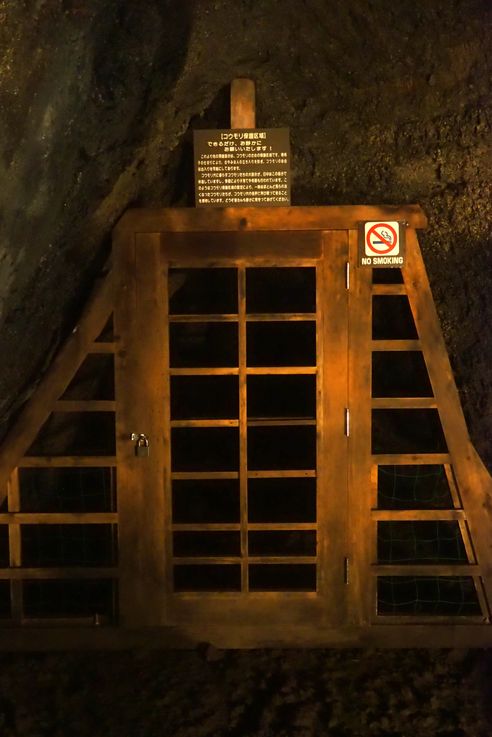 Saiko Lake Bat Cave