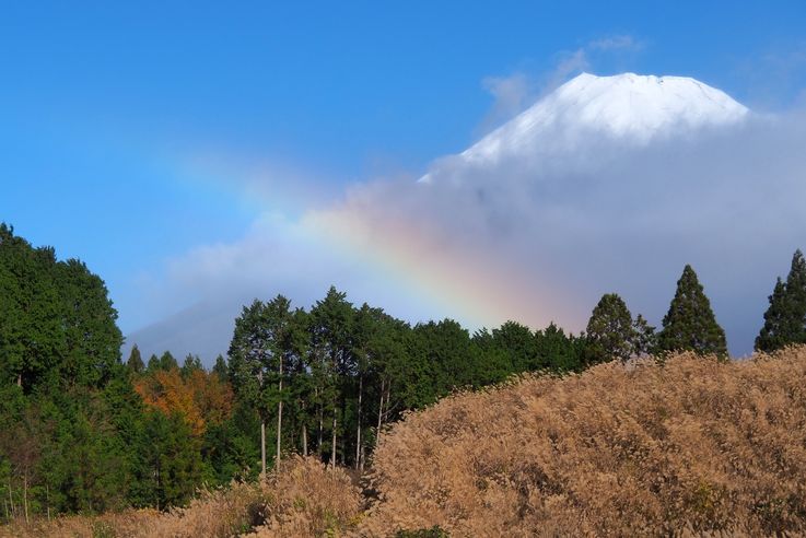 Rainbow versus Mount Fuji