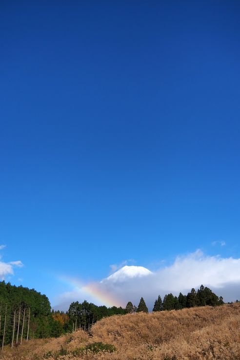 Mount Fuji