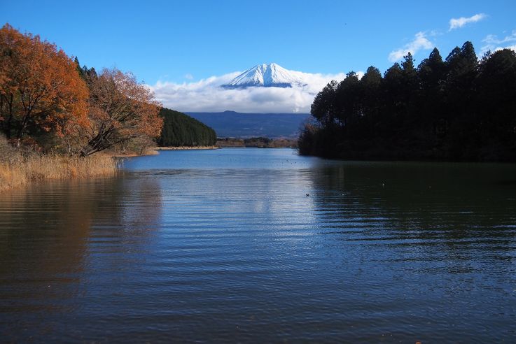 Lake Tanuki (Mount Fuji)