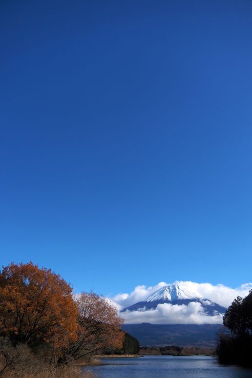 Lake Tanuki (Mount Fuji)