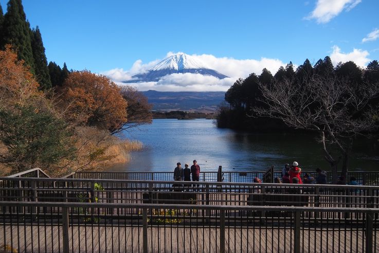 Lake Tanuki (Mount Fuji)
