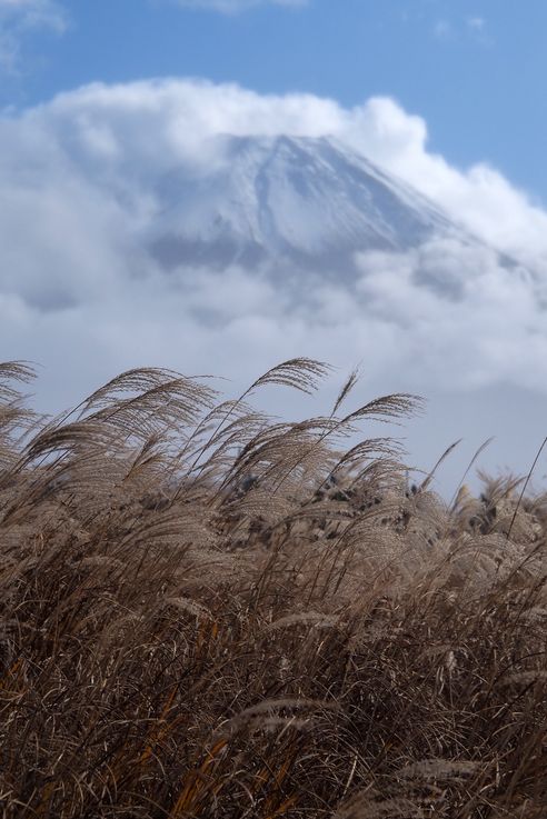 Mount Fuji