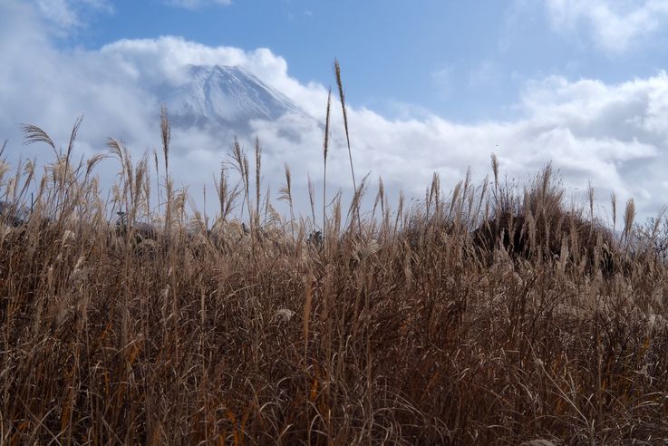 Mount Fuji