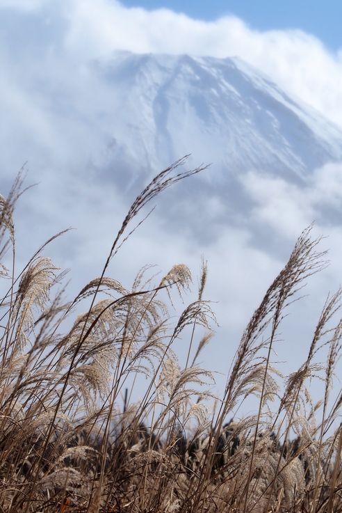 Mount Fuji