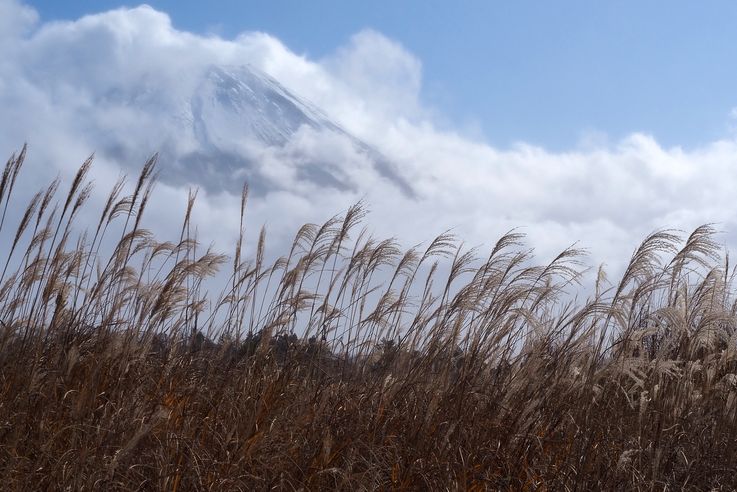 Mount Fuji