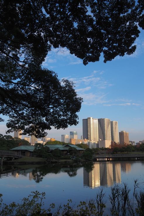 Jardin Hama Rikyu (Tokyo)