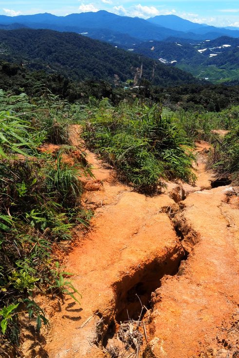 Sendero de Gunung Jasar y vista de los paisajes de Cameron Highlands.