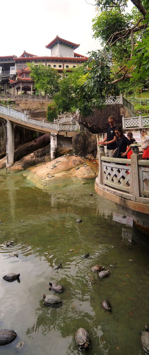 Kek Lok Si Temple and its red-eared slider turtle pond, George Town.