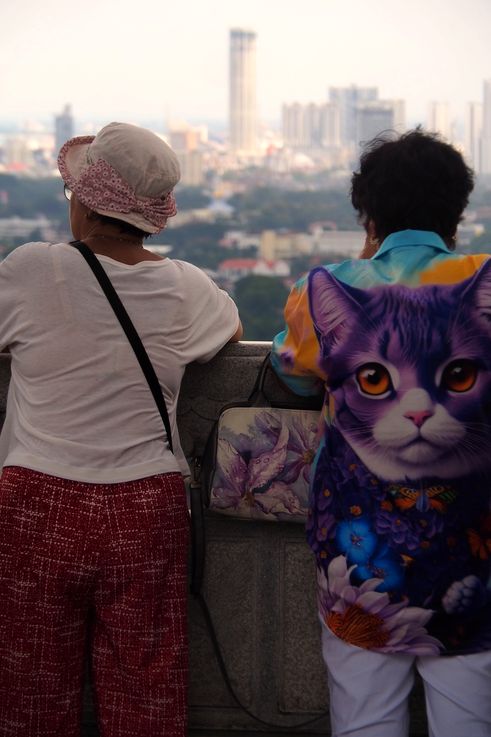 View of George Town from Kek Lok Si Temple with a person wearing a domestic cat motif.