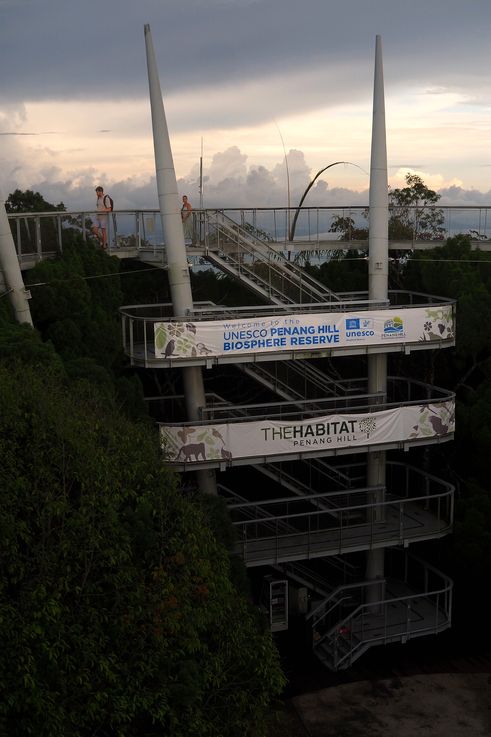 Curtis Crest Treetop Walk at The Habitat, Penang Hill.