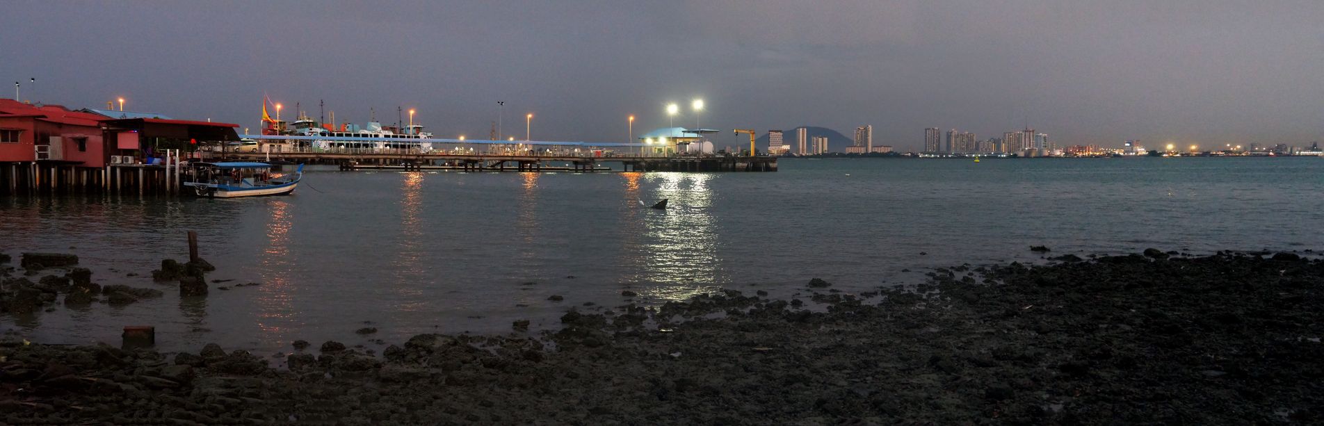 Little egret at Chew Jetty in George Town.