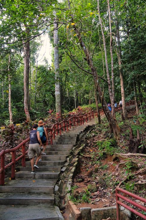 Escalera del Taman Eko Rimba Telaga Tujuh en Langkawi.