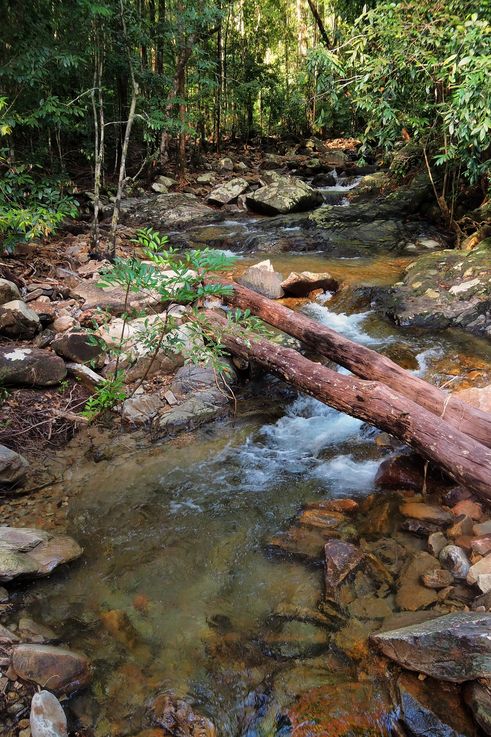 Río cerca de las cascadas de Telaga Tujuh en Langkawi, Kedah.