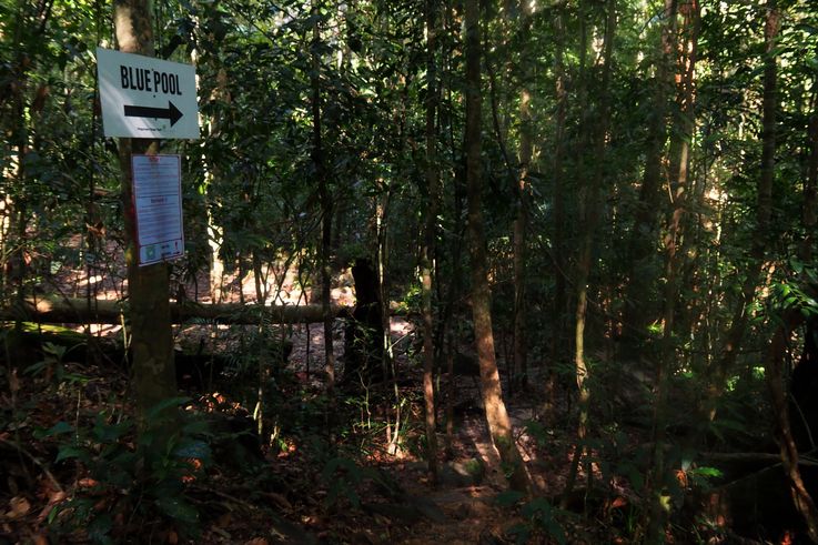 Señal ''Blue Pool'' en el sendero de Telaga Tujuh en Langkawi.