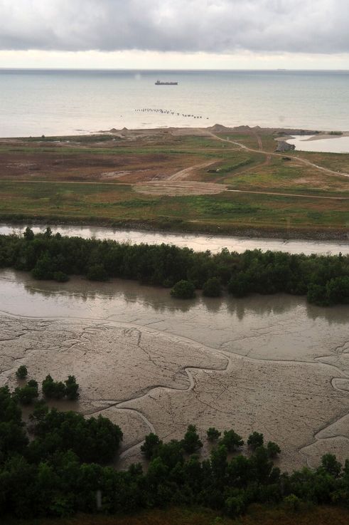 Estuario y manglares en Melaka.