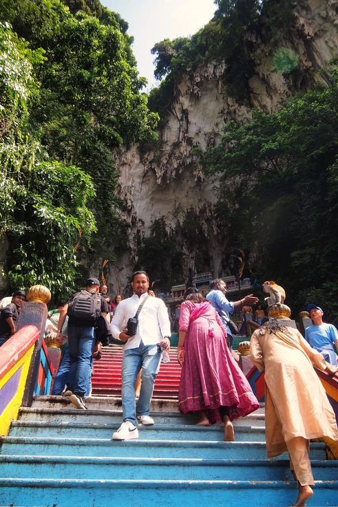 Macaque on the colorful stairs of Batu Caves.