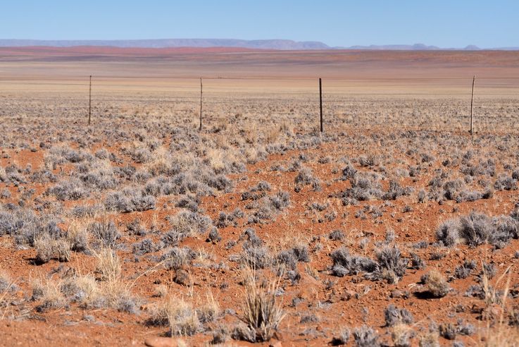 Namibie 2014