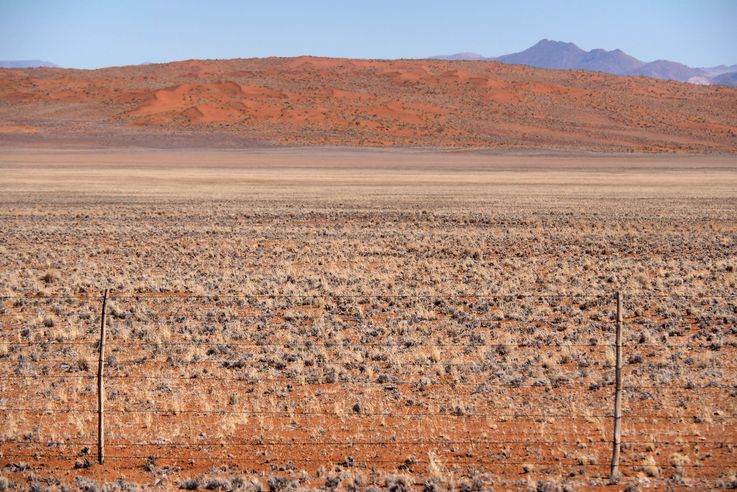 Namib Naukluft