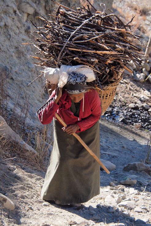Porteuse de bois au village de Manang