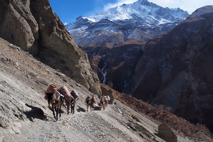 Chemin menant au camp de base du lac Tilicho