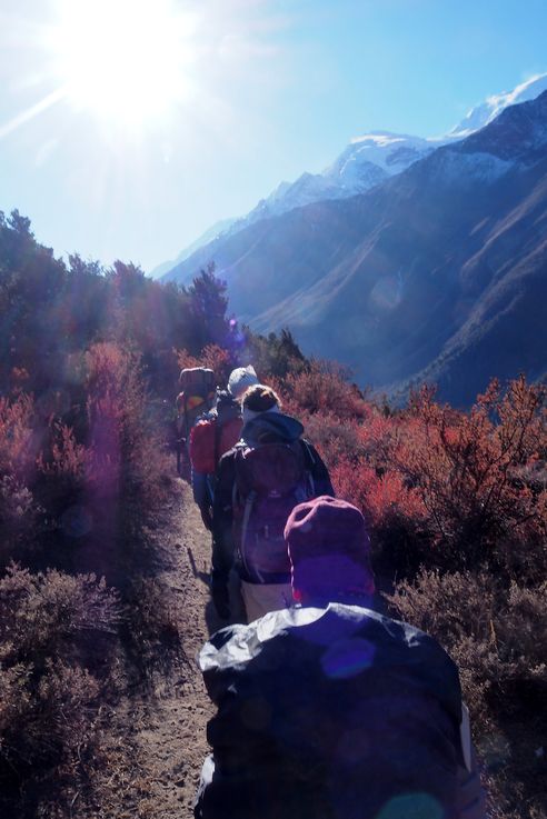 Trek Tour des Annapurnas