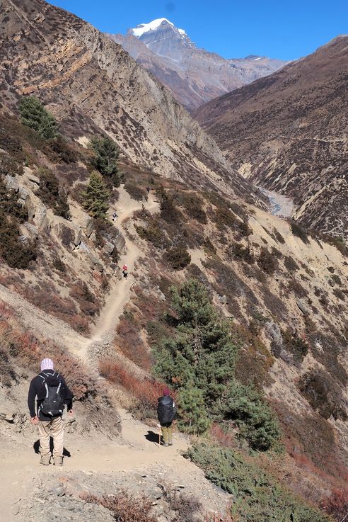 Trek Tour des Annapurnas