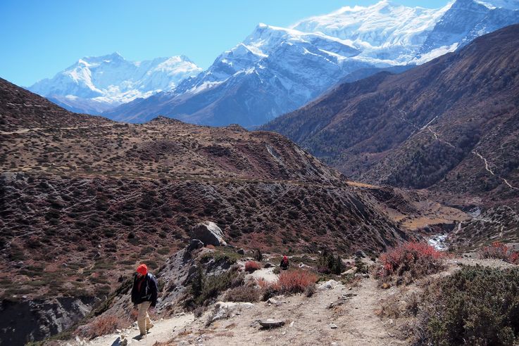 Trek Tour des Annapurnas