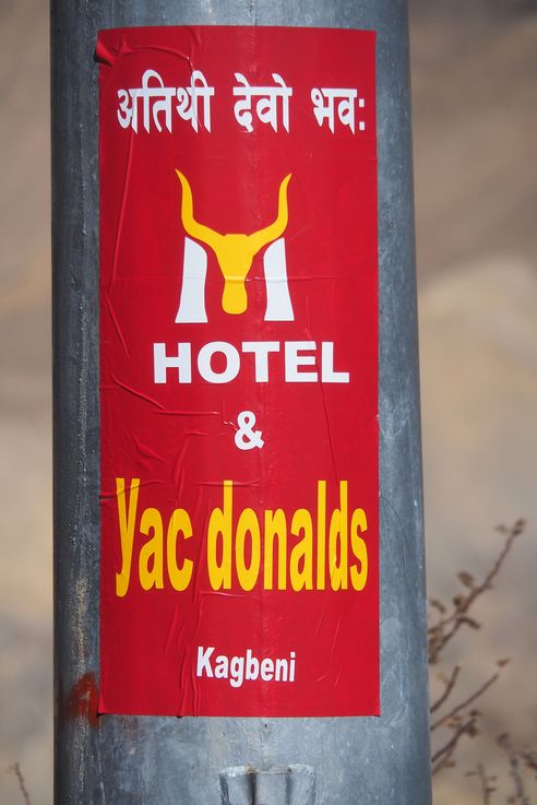 Yak Donalds of Kagbeni advertisement...