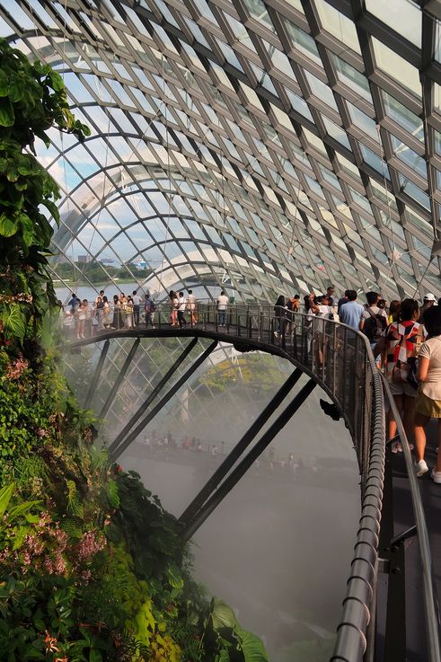 Walkway in the Cloud Forest of Marina South.