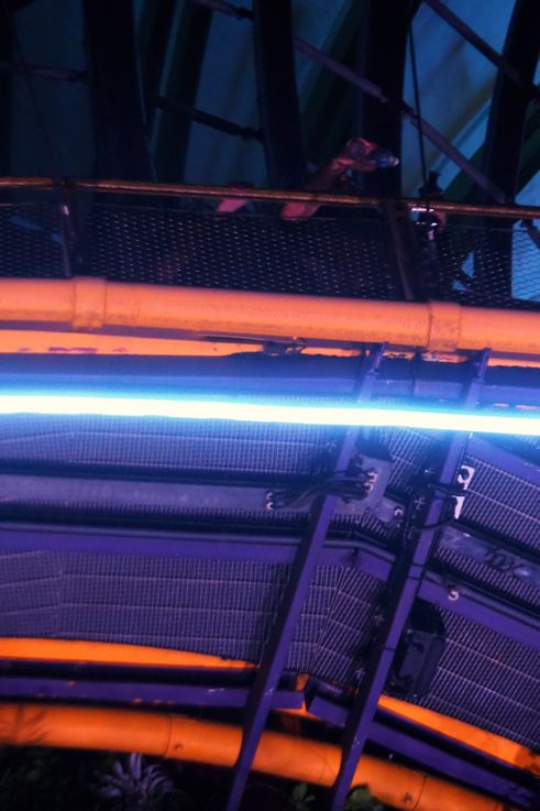 Structure lumineuse d'un Supertree du Supertree Grove.