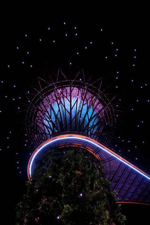 Supertree illuminé et passerelle OCBC Skyway au Supertree Grove.
