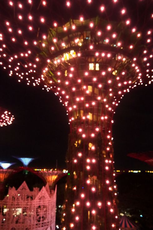 Illumination nocturne du Supertree Grove, quartier Marina South.