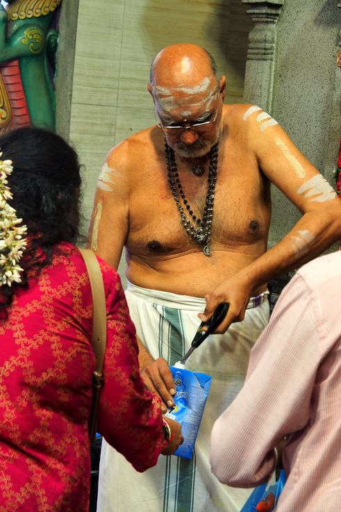 Prêtre hindou et offrande de lait au temple Sri Veeramakaliamman de Little India.