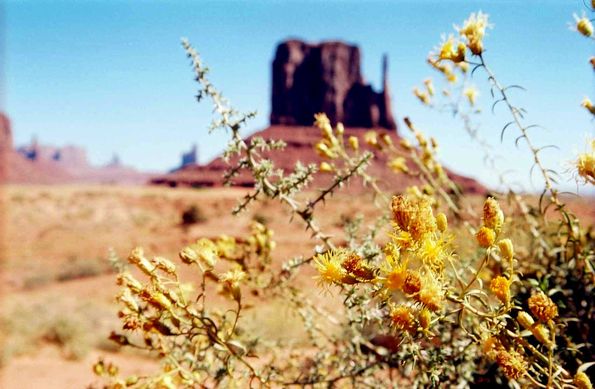 West Mitten en Monument Valley