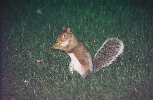 Etats-Unis 2005
