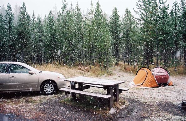 Réveil sous la neige à Yellowstone