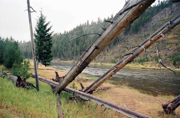 Yellowstone