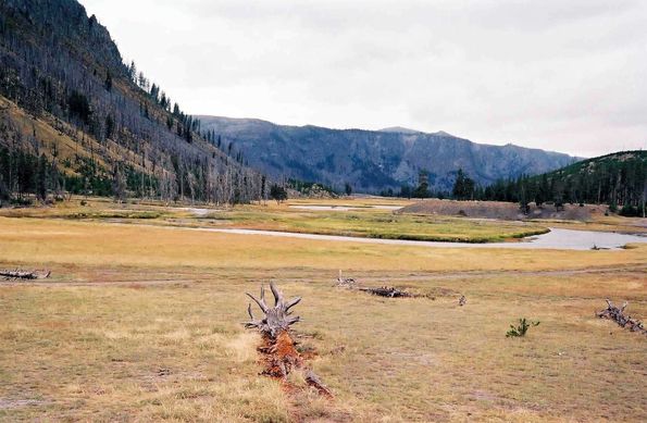 Yellowstone