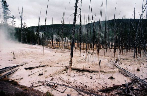 Yellowstone