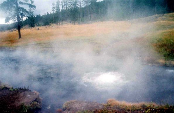 Terrace spring à Yellowstone.