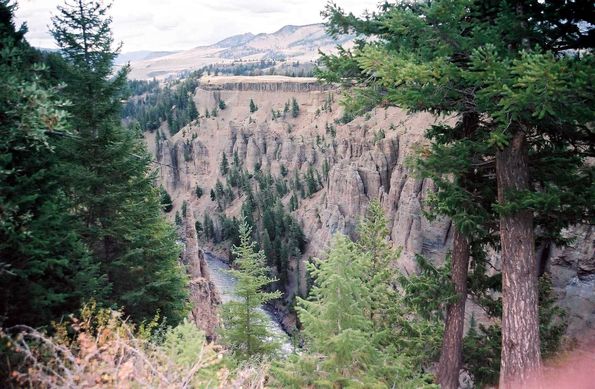 Tower falls. Yellowstone.