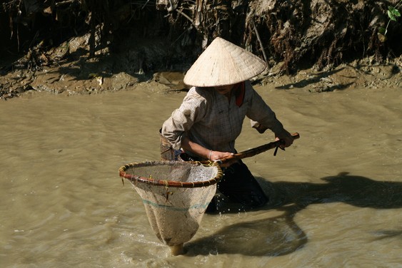 Pesca en el pueblo de Sai