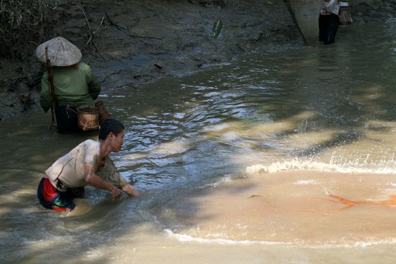 Pesca en el pueblo de Sai