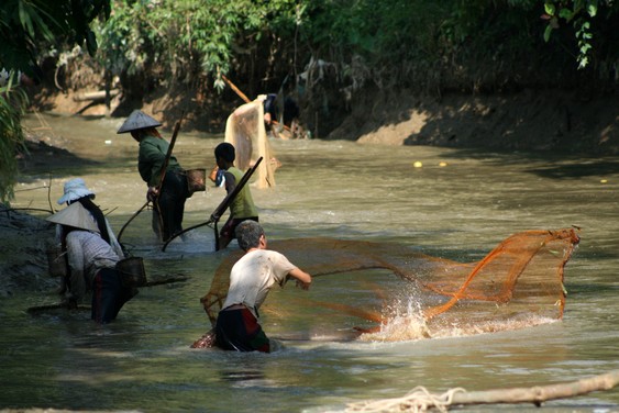 Pesca en el pueblo de Sai