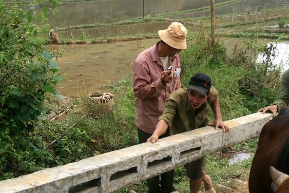 Dans la vallée de Mai Chau