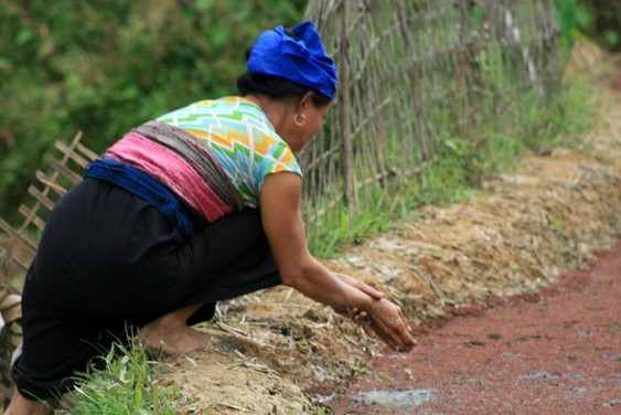 Dans la vallée de Mai Chau