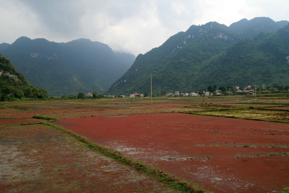 Dans le village Pho Doan