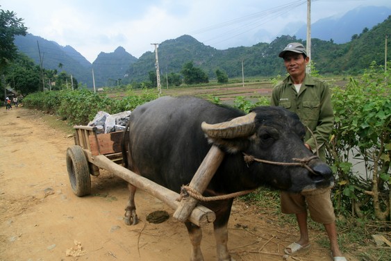 Dans le village Pho Doan