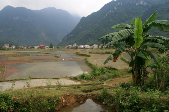 Dans le village Pho Doan